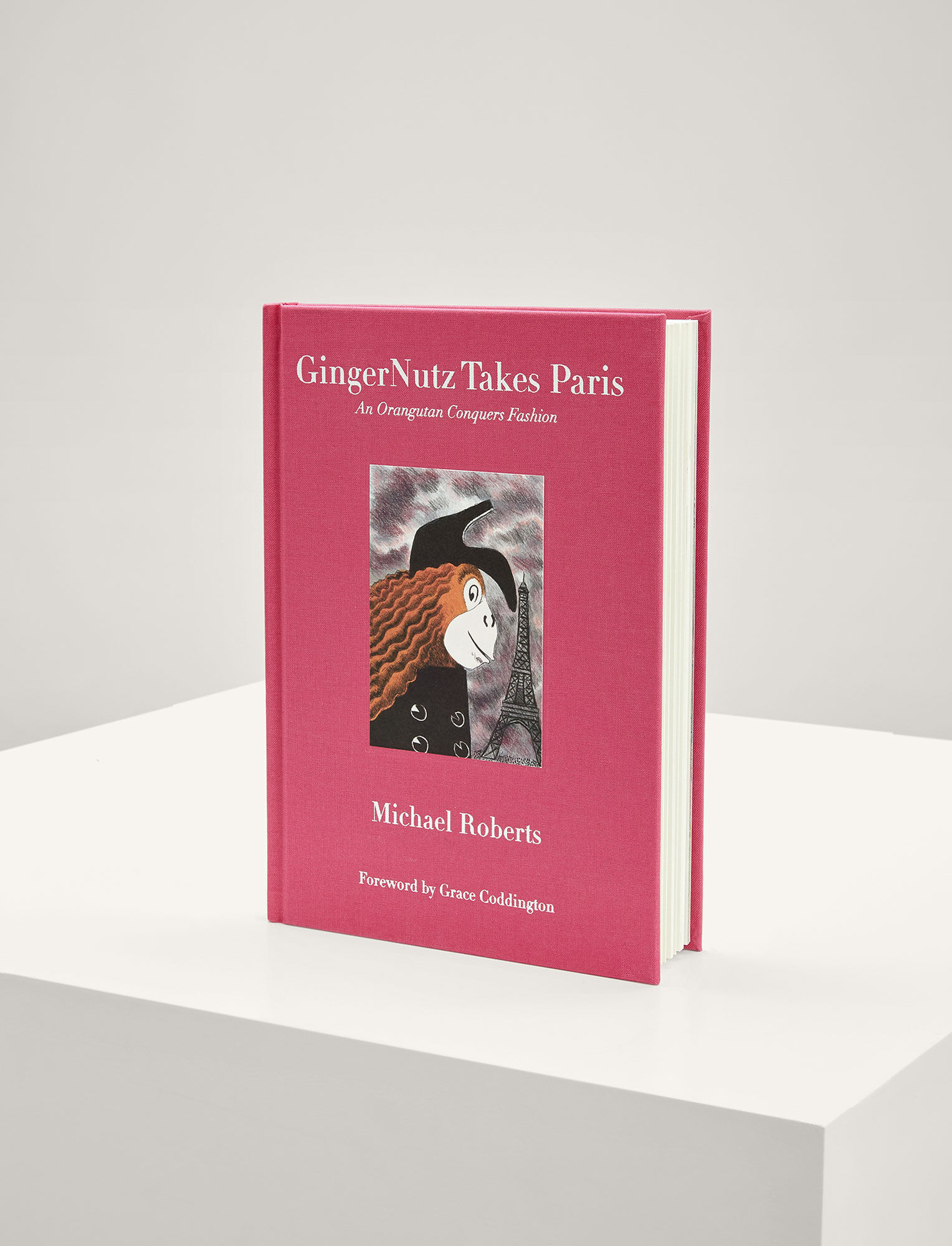 Joseph, GingerNutz Takes Paris: An Orangutan Conquers Fashion Book, in MULTICOLOUR