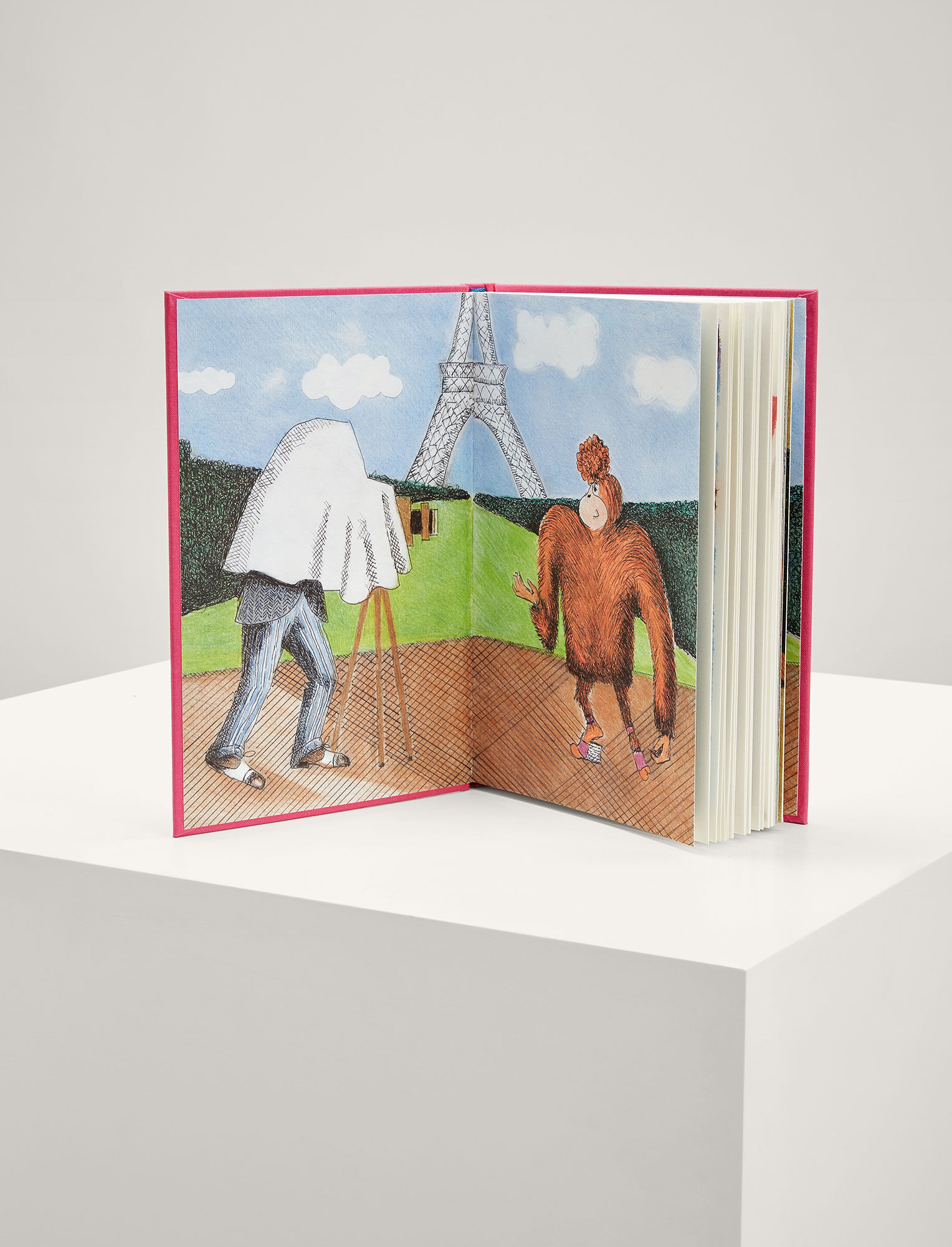 Joseph, GingerNutz Takes Paris: An Orangutan Conquers Fashion Book, in MULTICOLOUR