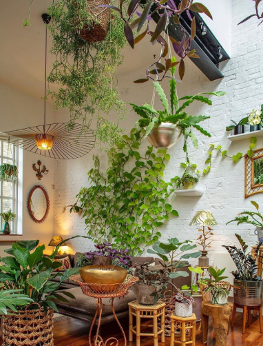HOUSE PLANTS WITH STYLE